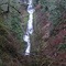 Munson Creek Falls