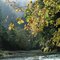 Kilchis River In Fall