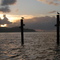 Seagulls and a Sunset