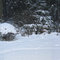 Christmas Day snow 2008