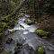 Limpy Creek
