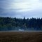 Farm on Nehalem Highway North