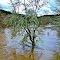 The Nehalem River