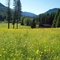 Reds Horse Ranch
