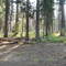 Tamarack Drop Camp
