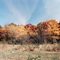 South farm, Vermilion County, IL