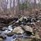 Sawkill creek coming from Lily pond