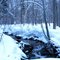 Deep woods brook in Pennsylvania