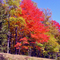 Fall Colors in Northwest Pa.