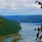 Allegheny Reservoir