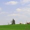 IMG_0441