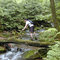 Bald Eagle Mt. Megatransect in Clinton Co., PA