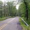 Bog Road