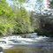 Mud run creek
