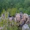 The Split Rock
