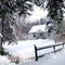 after a snowfall