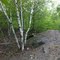 http://enduroway.blogspot.com/