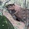 Entrance to the old mine shaft near Frackville, PA