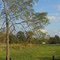 Ellwood City Outskirts