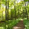 Hells Hollow Trail