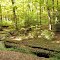 Hells Hollow Gorge Upstream