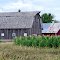 Country Farm
