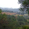 Winery and Valley View