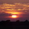 summer sunrise over the rice fields