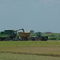 rice being unloaded from combine