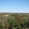 The Hill Country TX