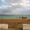 Lake Pflugerville, 11-22-2010