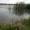 Lake Pflugerville - 09-15-13
