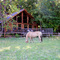 Stehekin Valley Ranch