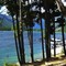 Lake Chelan through the trees, at Stehekin