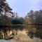 Low Country Pond