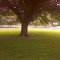 Our Home On The Farm