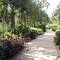 Botanical Gardens
