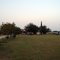 McAllen 03