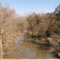 Old Vanderbild Road Lavaca River