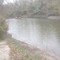 Navidad River, backed up from lake