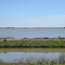 Navidad River Lake Texana