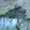 Ebbing & Flowing Spring