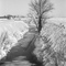Small stream, Vermilion County, IL