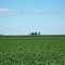 Farmland, Vermilion County IL