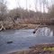 Courtner Mill Dam, WarTrace, Tn
