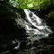 Ledford Mills Falls