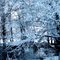 Snow Swings