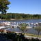 Beaverdam