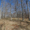 Montgomary Bell State Park