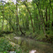 Hall Spring Creek
